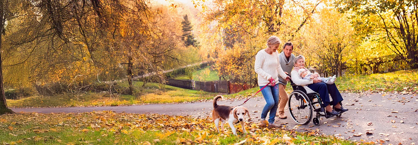 Shop Front Header Joviva Hilfsmittel Sanitätshaus Familie Rollstuhl Herbst