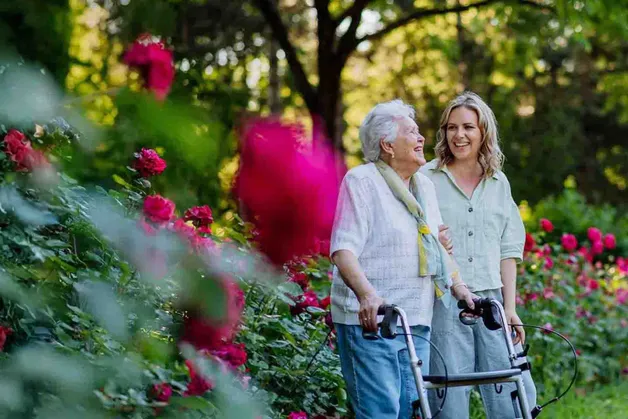 Joviva Startseite Blog Gesundheit Und Wohlbefinden