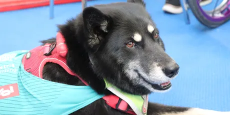 Was mir hilft, stark zu bleiben