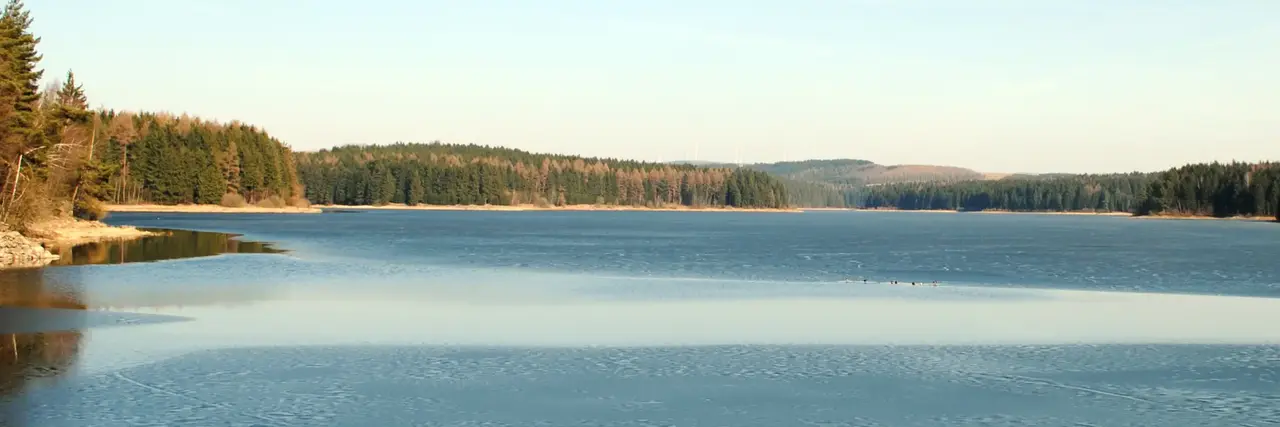 Ein friedlicher Panoramablick auf einen stillen See, in dem sich der blaue Himmel spiegelt, umgeben von dichtem Wald im sanften Tageslicht.