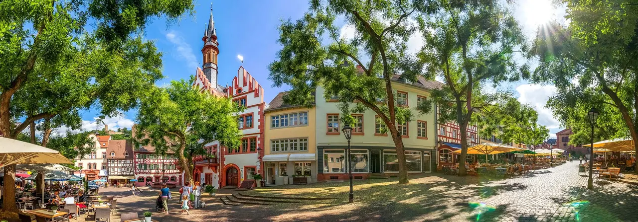 Sanitatshaus Maisch Orthopadie Technik Zentrum Wieblingen GmbH, Weinheim