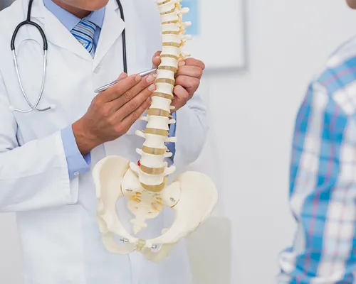 Arzt zeigt Patient mit Kaudasyndrom Modell von Wirbelsäule