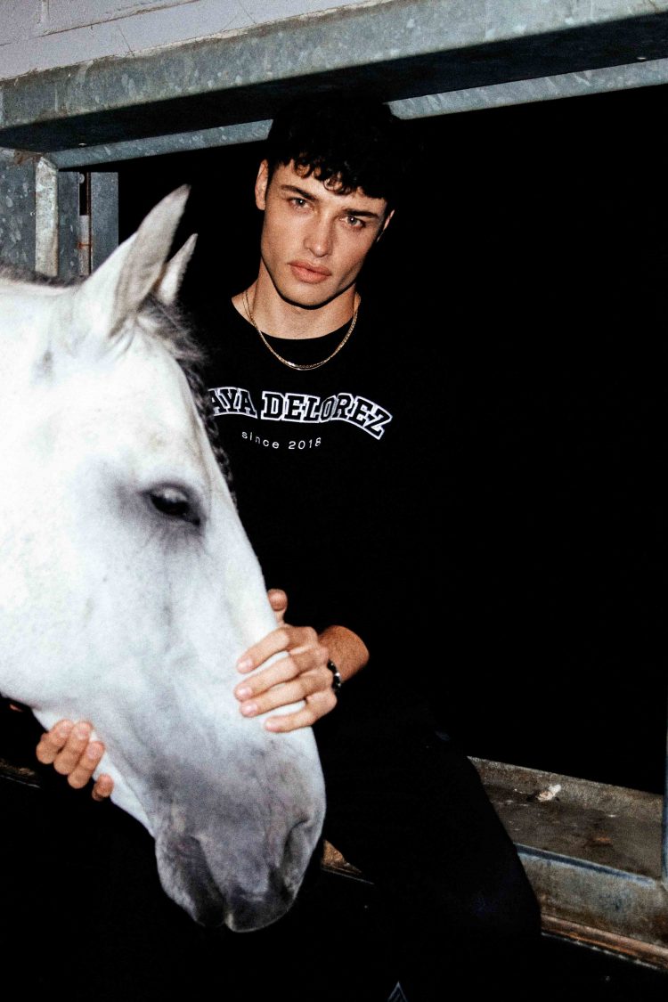 Dyr som lever på Mount Everest og deres overlevelseshemmeligheter, image size:750x1125