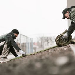 Zwei Arbeiter verlegen Rasensoden auf einer schrägen Fläche. Einer der Arbeiter rollt die Rasensode aus, während der andere den bereits ausgelegten Rasen anpasst. Beide tragen Arbeitskleidung und Handschuhe.