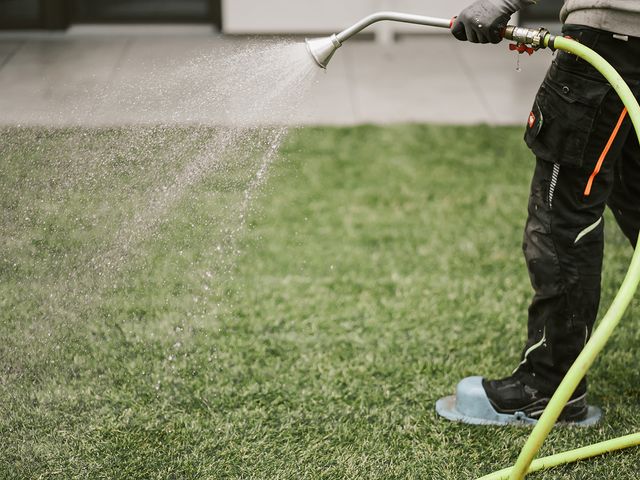 Eine Person wässert mit einem Gartenschlauch den Rasen, wobei die Wassertröpfchen in der Luft zu sehen sind.