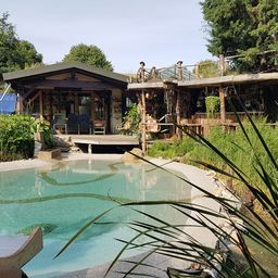 Ein natürlicher Swimmingpool in einem üppigen Garten vor einem rustikalen Holzhaus.