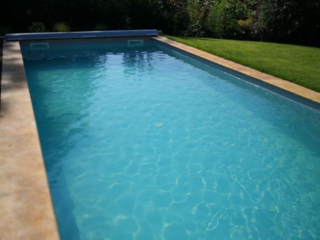 Ein rechteckiger Swimmingpool mit klarem Wasser, umgeben von einem Steinrand und einer gepflegten Rasenfläche. Im Hintergrund sind dichte grüne Bäume und Büsche sowie ein bewaldeter Hügel zu sehen.