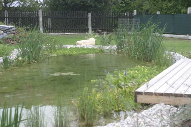 Gartenteich mit Holzsteg, umgeben von Pflanzen und einem Zaun im Hintergrund
