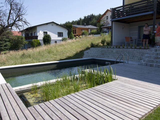 Ein rechteckiger Naturpool mit Holzdeck und integrierten Wasserpflanzen, umgeben von einer naturnahen Landschaft mit einer Hangwiese. Im Hintergrund sind Häuser und zwei Männer, die auf einer Terrasse stehen und sich unterhalten, zu sehen.