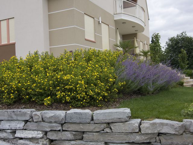 Ein gepflegtes Blumenbeet mit gelben und violetten Blüten ziert den Vorgarten eines modernen Hauses mit Steinmauer.