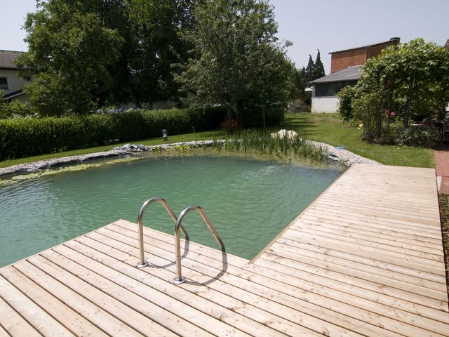 Gartenoase mit einem Naturpool als Herzstück.
