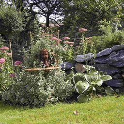 Ein rustikaler Garten mit einer kleinen Statue eines Kindes, umgeben von grünen Sträuchern und rosa Blüten, neben einer Steinmauer.