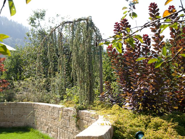 Ein malerischer Garten mit einer geschwungenen Steinmauer, überhängenden Pflanzen und rötlichen Sträuchern im Hintergrund.