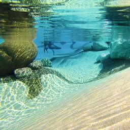 Ein Unterwasser Foto von einemUnterwasseraufnahme eines Swimmingpools mit natürlicher Gestaltung. Der Boden des Pools ist wellig und mit Kieselsteinen sowie großen Felsen dekoriert. Biodesign Pool.