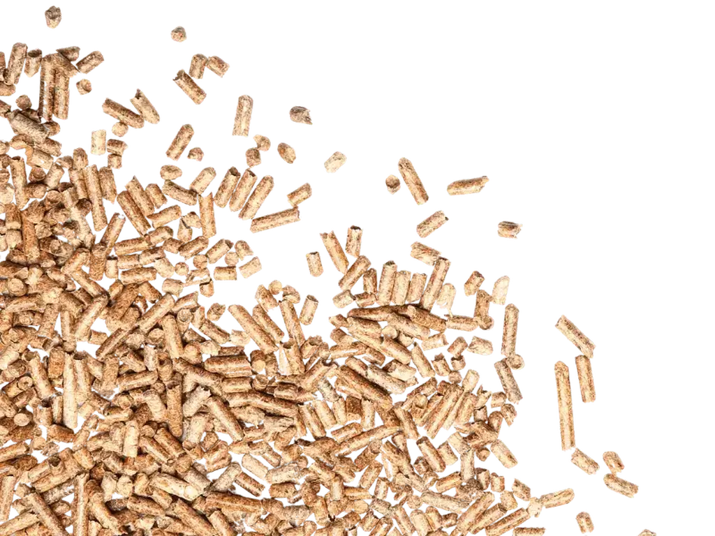 Holzpellets in großer Menge, lose verstreut von der unteren linken Ecke zur Bildmitte, vor transparentem Hintergrund.