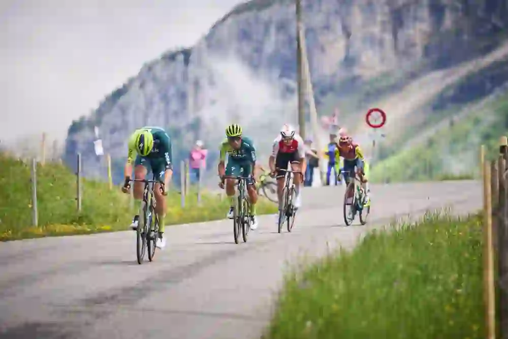 A peloton fights its way powerfully through a green forest backdrop, concentrated faces, tense muscles - pure endurance, team spirit and sporting ambition in the midst of breathtaking nature.