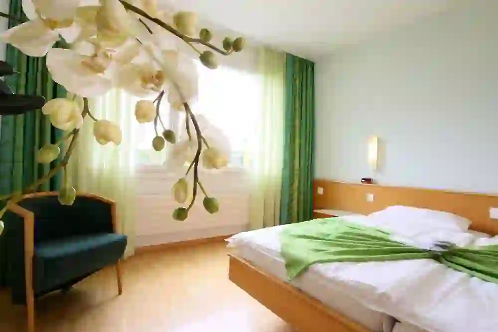 Das Foto zeigt ein einladendes Zimmer im Hotel Grauholz in Ittigen, das mit frischen grünen Akzenten und natürlichem Licht eine lebendige und beruhigende Atmosphäre schafft.