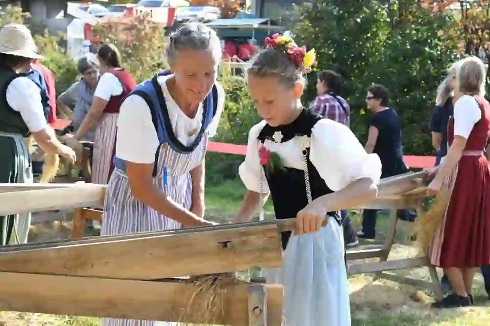 Une femme âgée et une jeune fille en tenue traditionnelle travaillent ensemble à une activité agricole historique, entourées d'une atmosphère de patrimoine culturel et d'apprentissage communautaire.