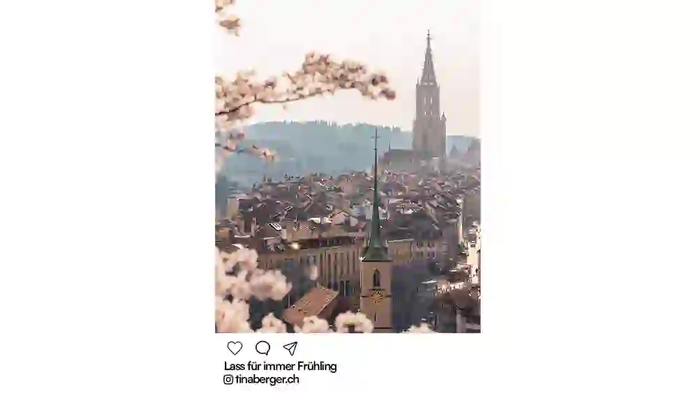 Vue sur la vieille ville de Berne et la cathédrale avec des fleurs de cerisier au premier plan