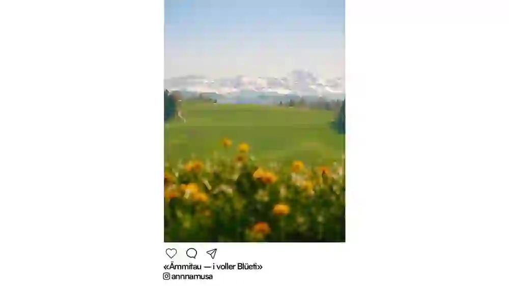 Bern in the springtime - Bern Welcome