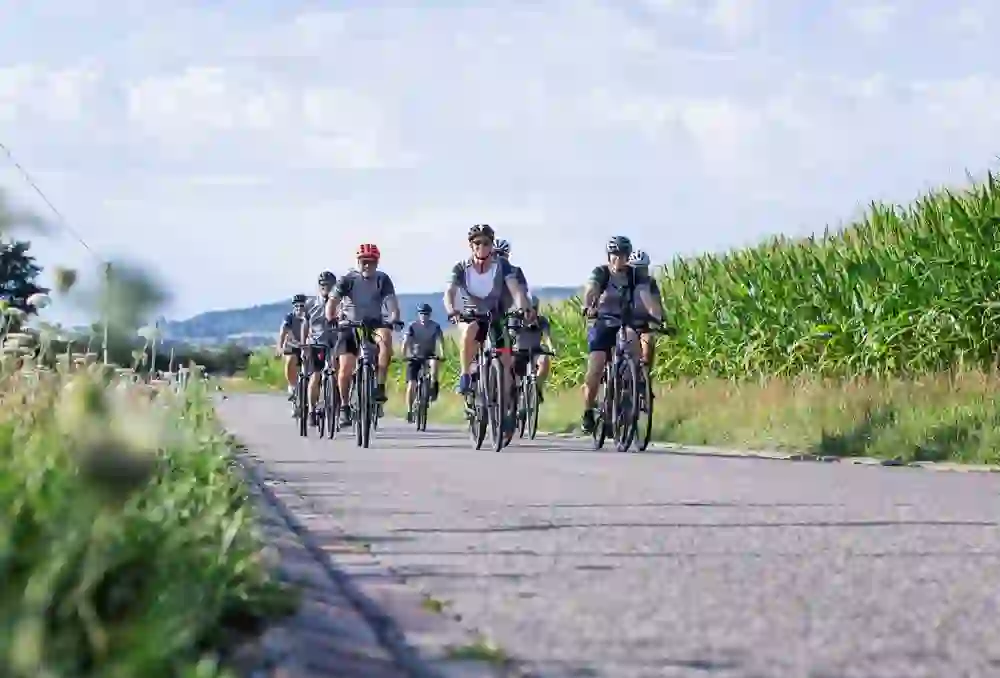 Eine Gruppe Radfahrer geniesst gemeinsam einen sonnigen Ausflug, umgeben von grünen Feldern, ein Gefühl von Freiheit und Kameradschaft auf dem offenen Weg.