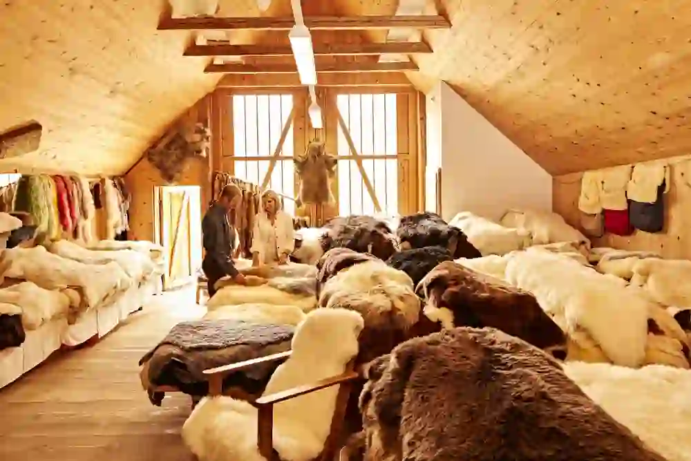 Nella calda atmosfera del negozio artigianale Spycher di Huttwil, i visitatori scoprono una ricca selezione di pellicce naturali, simbolo di artigianato e tradizione. La conversazione rilassata riflette l'ambiente accogliente e invitante.