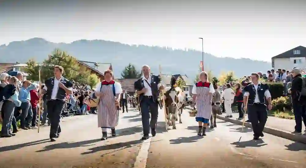 The picture shows a traditional alpine procession in Schwarzsee with festively dressed shepherds and decorated cows, surrounded by a cheerful crowd celebrating the event - a celebration of tradition and community.