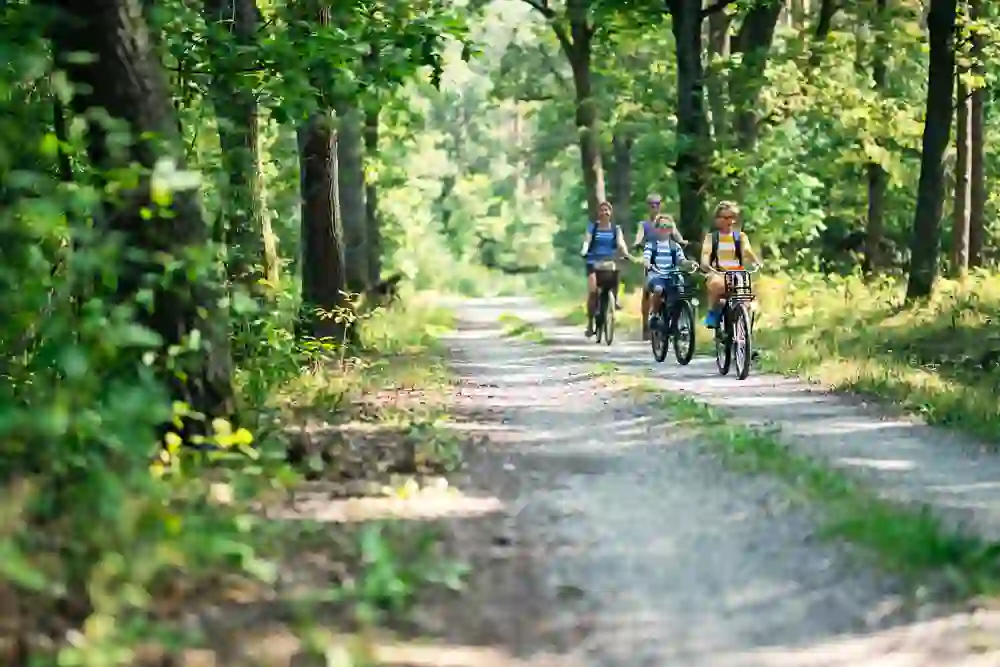 A family enjoys a bike ride through a sparse forest. Surrounded by green foliage and the soft light falling through the trees, they cycle along a curved gravel path embraced by nature. It is an image of togetherness and harmony with nature.