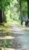A family enjoys a bike ride through a sparse forest. Surrounded by green foliage and the soft light falling through the trees, they cycle along a curved gravel path embraced by nature. It is an image of togetherness and harmony with nature.