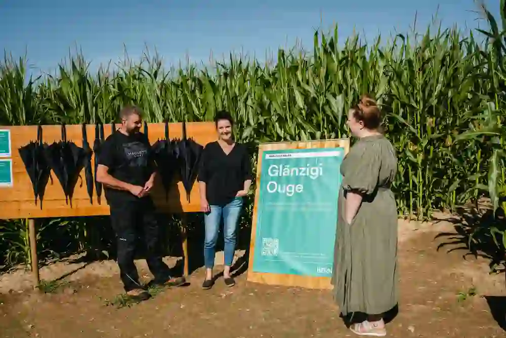 Interview du Réseau Berne : Labyrinthe de maïs de Frienisberg