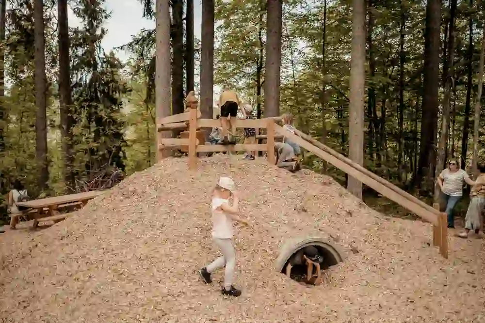 Das Bild zeigt Kinder, die in "Hansjoggelis Spielwelt" in Guggisberg spielen, einer naturnah gestalteten Spielumgebung.