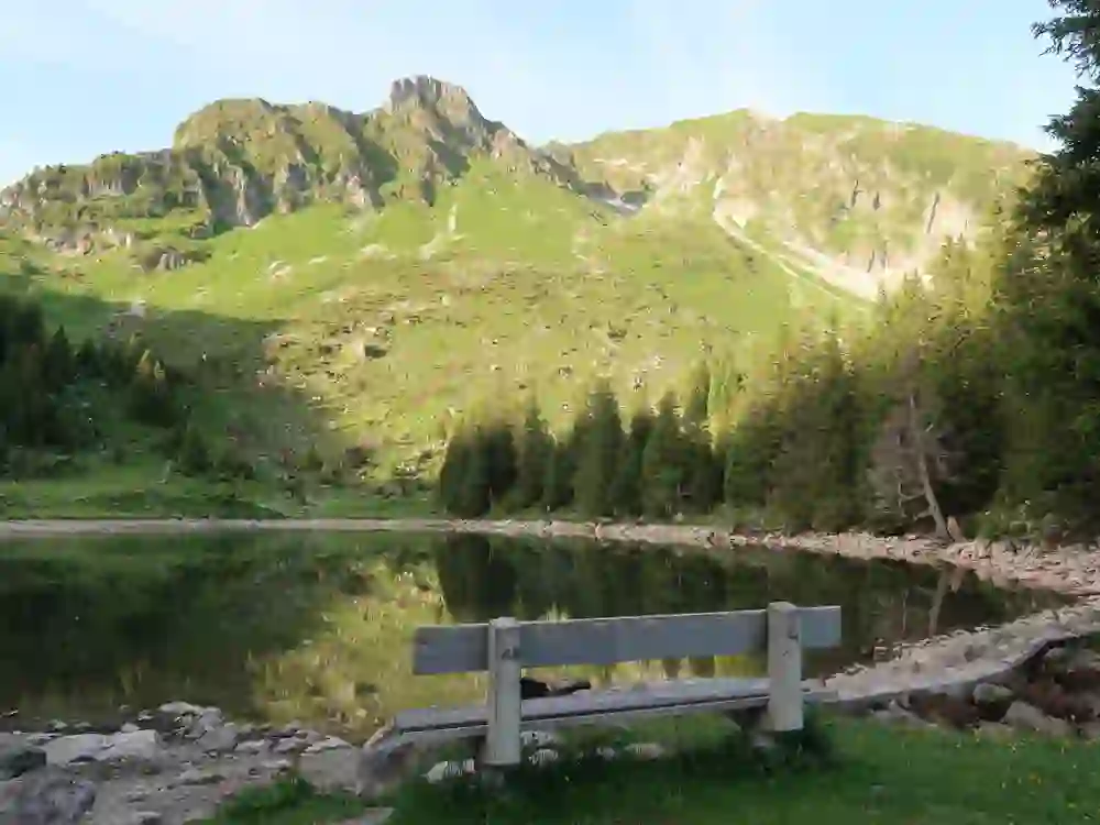 Das Foto zeigt das ruhige Gantrischseeli, das die umgebende Landschaft und den blauen Himmel spiegelt. Im Vordergrund bietet eine hölzerne Bank den perfekten Platz, um die Aussicht auf die grünen Berghänge und die friedliche Natur zu genießen. Die Szene ist geprägt von Ruhe und der unberührten Schönheit der Natur, ein Ort, der zum Verweilen und zum Atemholen einlädt.