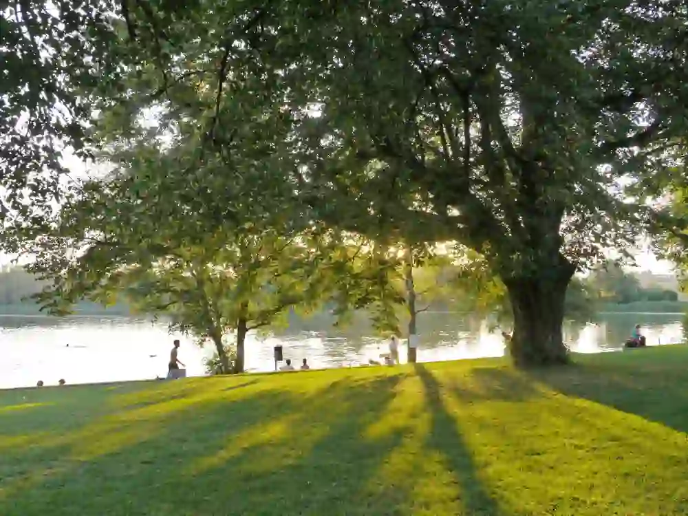 The picture shows a peaceful evening at Lake Burgäschi in Aeschi. People relax on the shore as the sun sets behind the trees and casts long shadows on the bright green grass. A sense of calm and serenity pervades this summer scene by the water.