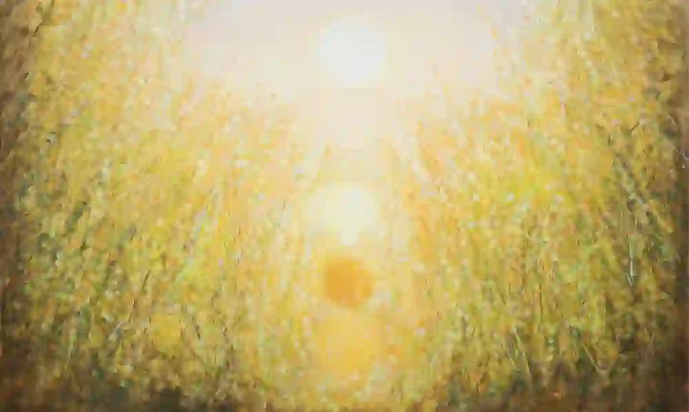 The picture shows a painting by Robert Zandvileiet