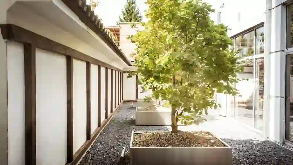 Ein friedlicher japanischer Garten im Innenbereich mit harmonischer Bepflanzung und Kiesbett, der eine Oase der Ruhe und Kontemplation in einer modernen Umgebung schafft.