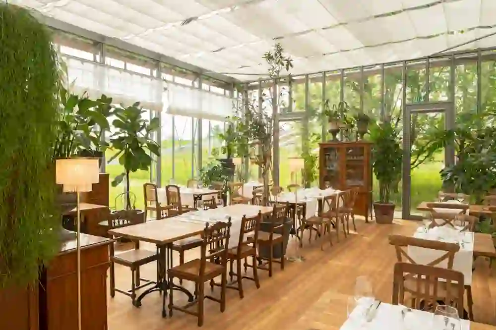 Das Bild zeigt das lichtdurchflutete Interieur des Restaurants Schöngrün, umgeben von üppigem Grün und einem Blick ins Freie, was eine naturnahe und erfrischende Atmosphäre schafft. Die Holzmöbel verleihen dem Raum eine herzliche und einladende Wärme.