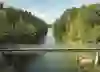The picture shows a bridge over a river lined with densely wooded banks. Four people are standing on the bridge looking into the river. The vegetation is lush and green, and the sky is clear with a few small clouds. The scene conveys a calm and idyllic atmosphere in a rural area.