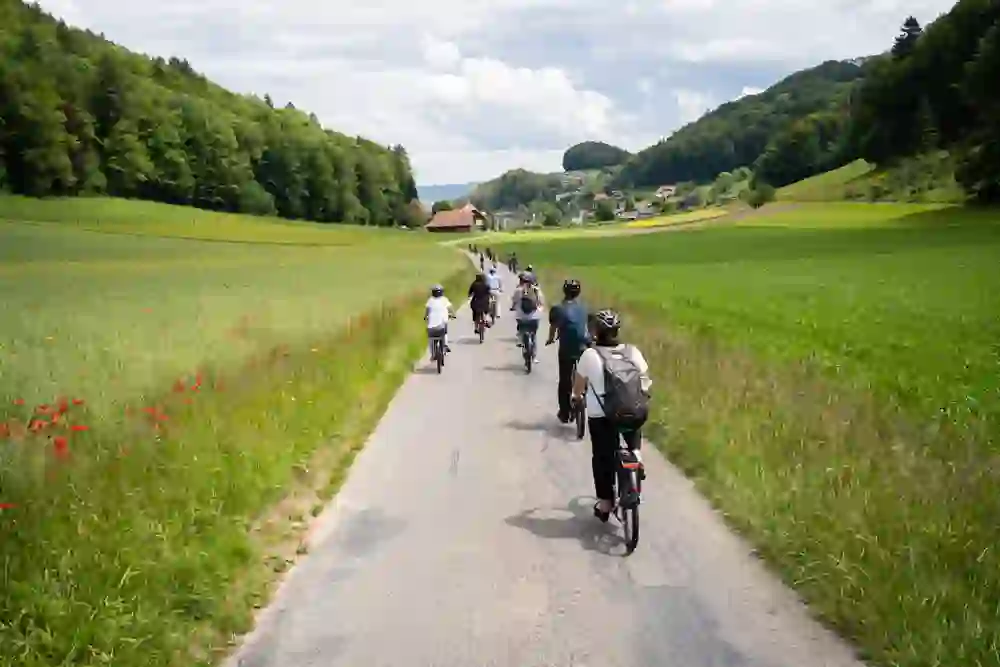 L'immagine mostra un gruppo di ciclisti che percorre un'idilliaca pista ciclabile rurale, circondata da campi verdi e papaveri rossi. Lo scenario irradia tranquillità e un senso di comunità mentre i ciclisti si godono la natura.