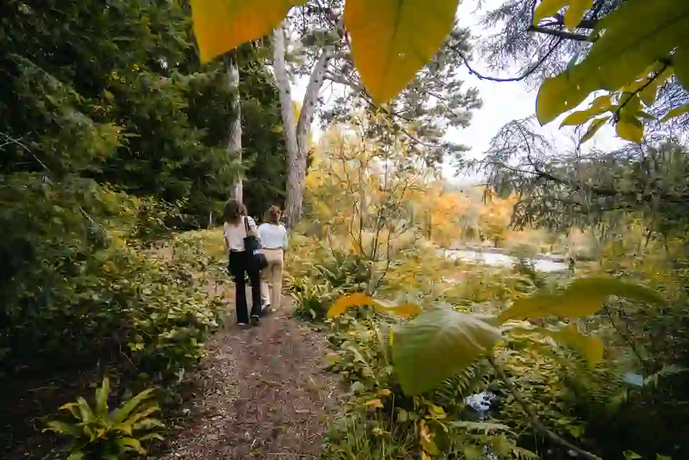 The photo shows two people taking a walk through the Botanical Gardens in Bern.