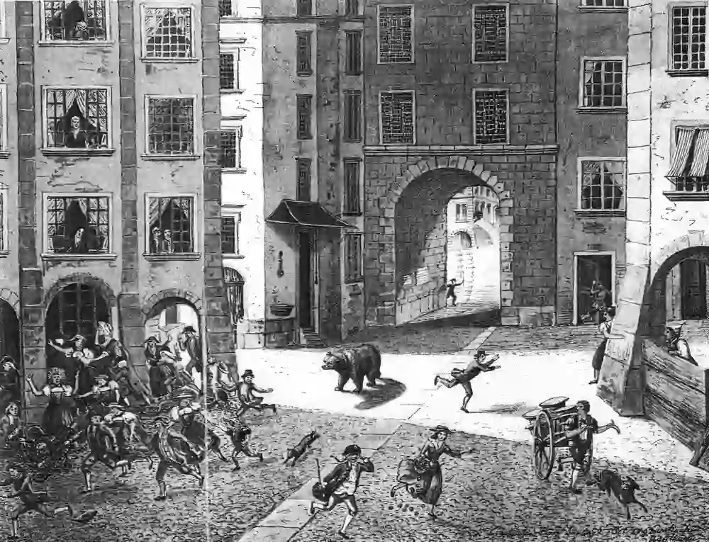 The historical engraving shows a lively scene in a city street with an escaped bear causing a commotion. People flee in panic while others watch from windows. The atmosphere is chaotic and tense.