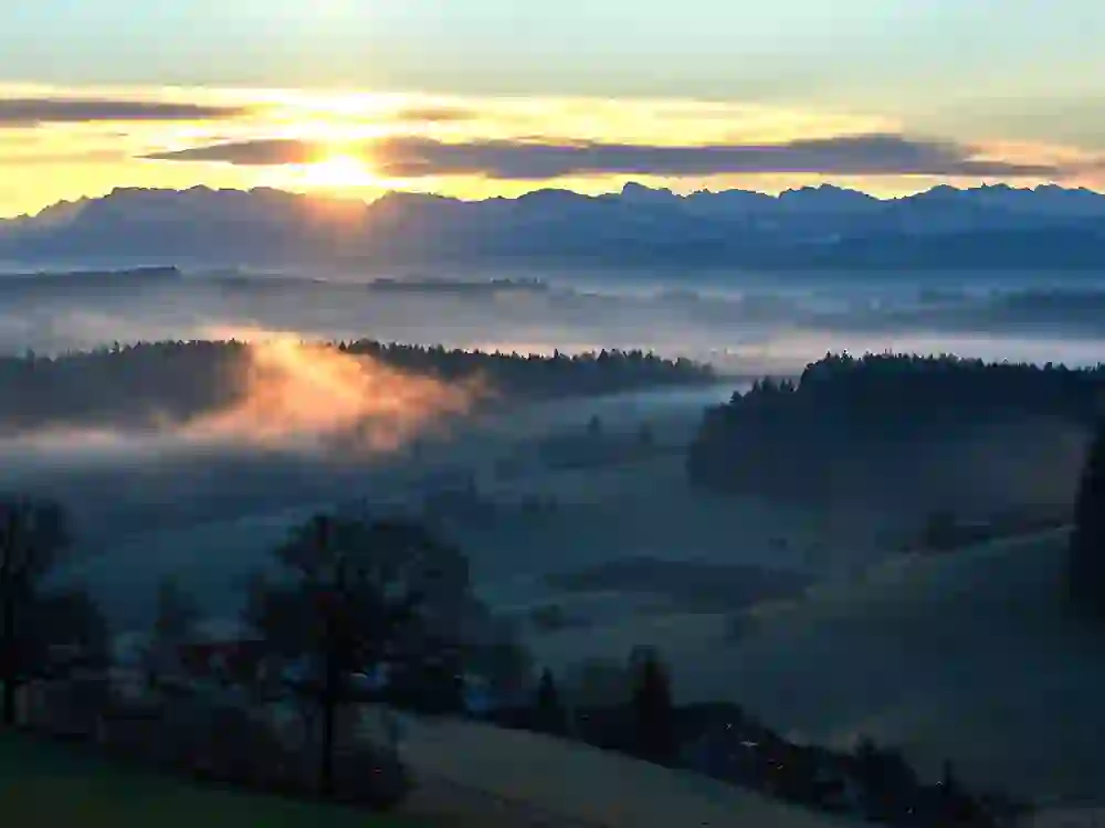 Das Bild zeigt die dramatische und malerische Landschaft vom Aussichtsturm Hochwacht bei Sonnenaufgang, mit goldenem Licht, das die Szene erhellt und durch die Nebelschwaden bricht, welche sich wie ein sanfter Schleier über Reisiwil legen. Die Konturen der Schweizer Alpen im Hintergrund bilden eine beeindruckende Kulisse, während die ersten Strahlen der Sonne den Himmel in ein Spektrum aus warmen Tönen tauchen. Die Bäume im Vordergrund stehen als stille Zeugen dieses friedvollen Moments.