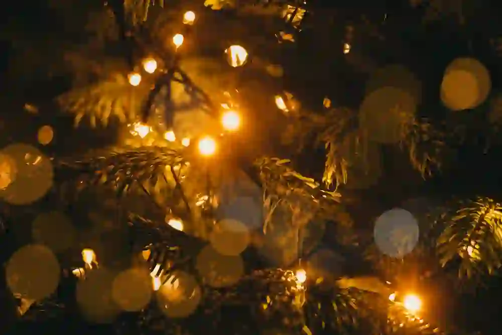 In the picture, warm lights shine between the deep green fir branches, creating a soft, festive sparkle. The golden reflections reinforce the feeling of cosiness and Christmas anticipation.