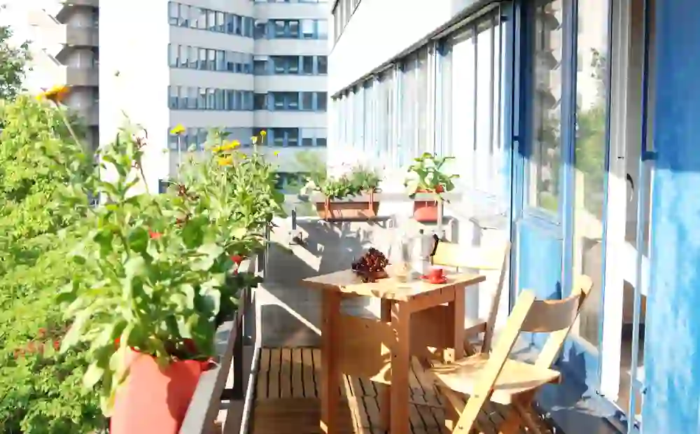 The picture shows a sunny hostel terrace at Hostel 77 with an inviting wooden table and chairs surrounded by flowering potted plants. The scene radiates a warm, relaxed atmosphere, perfect for a coffee break or a cosy get-together in the early morning or late afternoon hours.