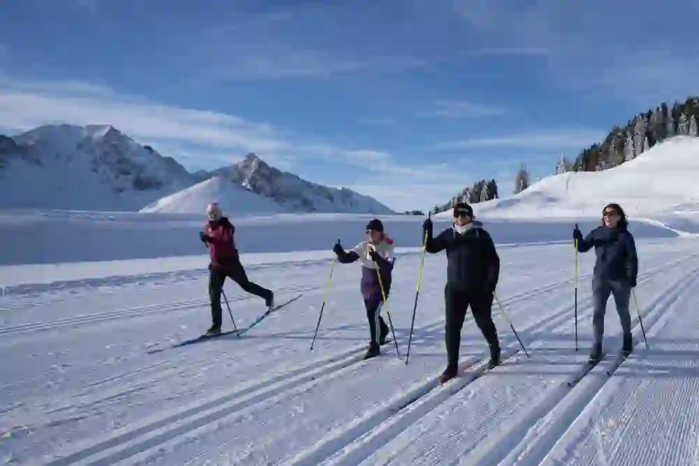 The picture shows a group of cheerful cross-country skiers gliding through the snow-covered landscape of the Gantrisch Nature Park. Their movements are flowing and light, while the clear winter air and the majestic, snow-capped mountains in the background convey a sense of freedom and adventure.