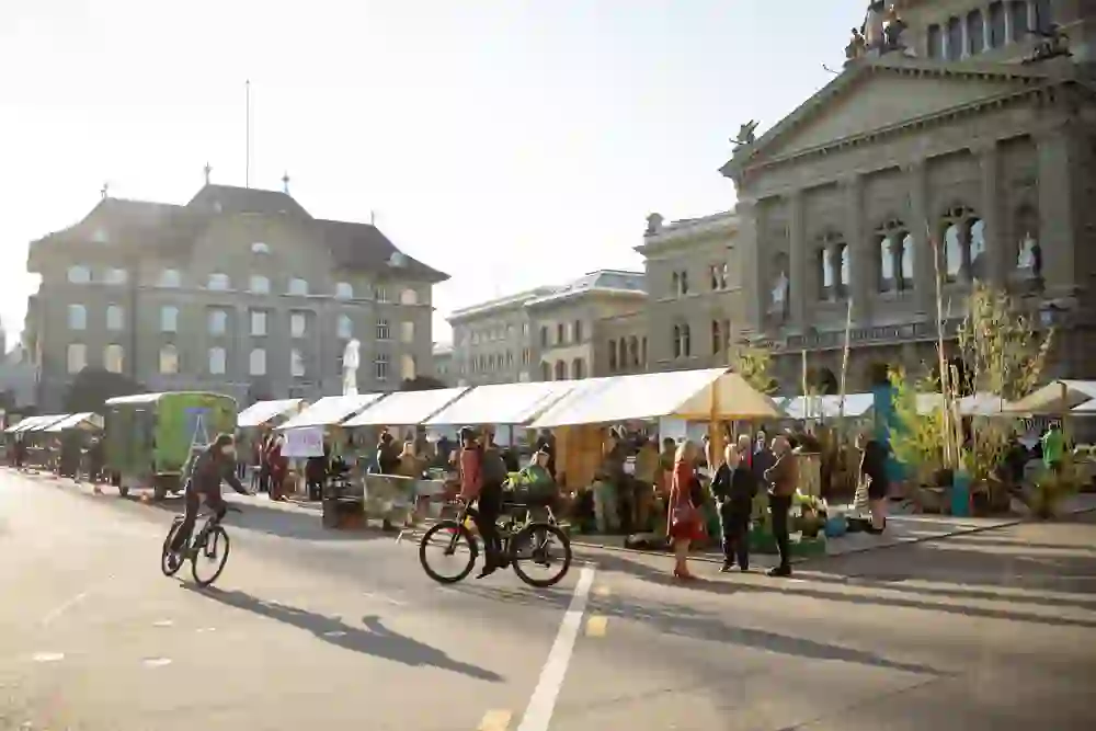 The picture shows the Bern Wild Plants Market on the Bundesplatz: market stalls full of greenery, lively hustle and bustle and encounters against a historic backdrop. The warm morning sun creates a spirit of optimism - a festival for nature lovers in the centre of the city.
