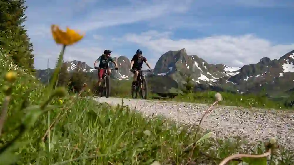 Deux vététistes apprécient leur randonnée sur un sentier panoramique du parc naturel de Gantrisch. Une fleur brille au premier plan, tandis que des montagnes majestueuses s'étendent derrière eux. La scène est empreinte de joie et de la splendeur du printemps.