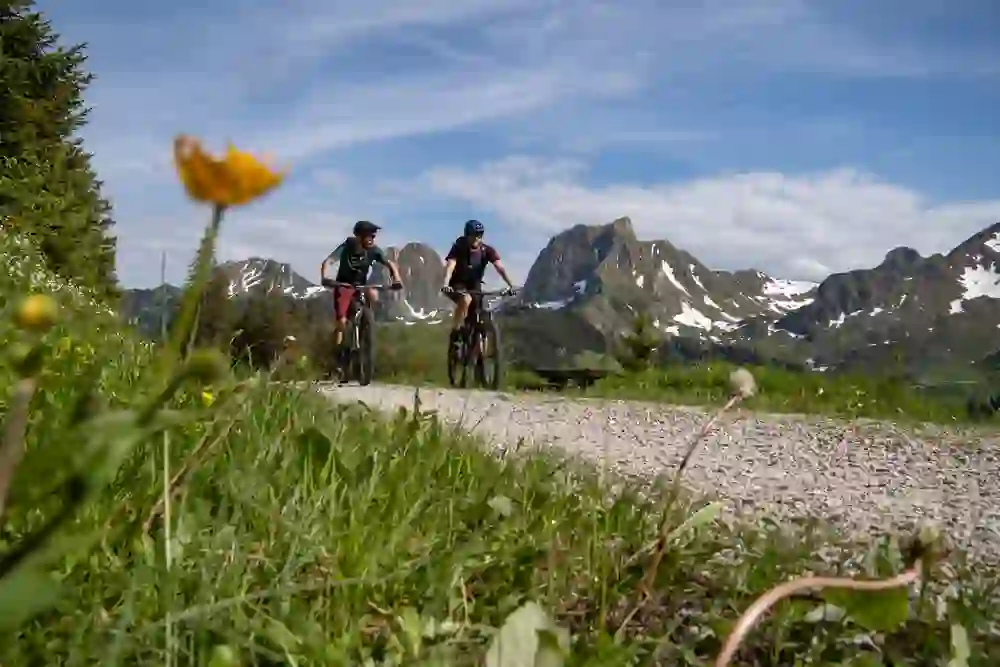 Zwei Mountainbiker geniessen ihre Tour auf einem Panoramaweg im Naturpark Gantrisch. Im Vordergrund leuchtet eine Blume, dahinter erstrecken sich majestätische Berge. Die Szene ist geprägt von Freude und der Pracht des Frühlings.