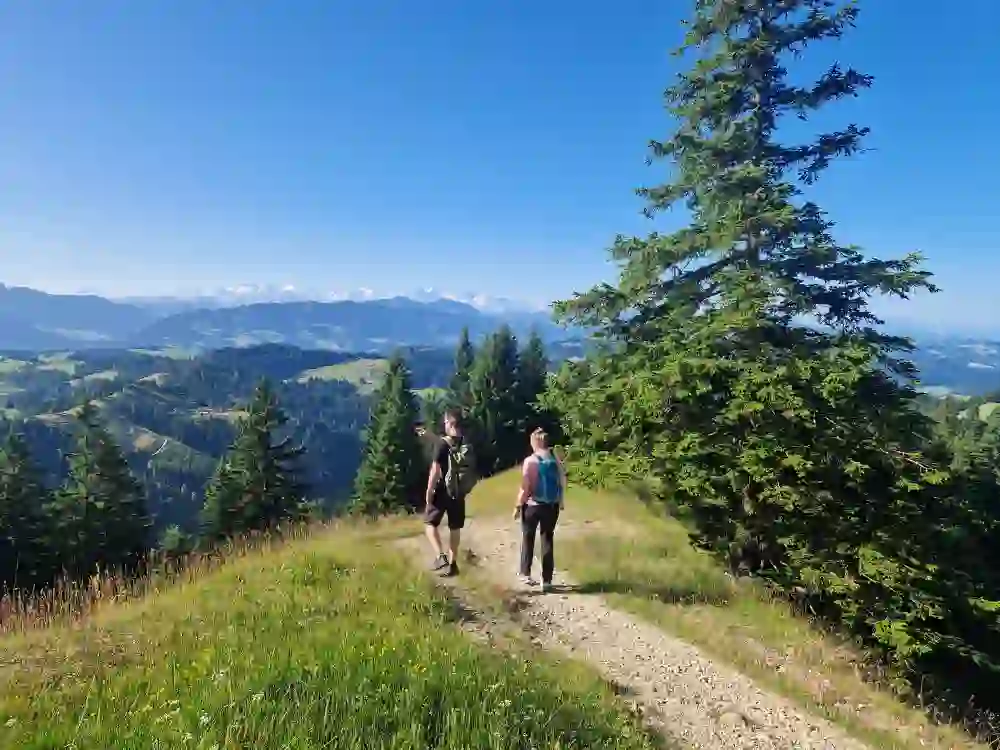 Vor strahlend blauem Himmel wandern zwei Personen auf einem schmalen Pfad im Napfgebiet. Umgeben von saftig grünen Wiesen und dichten Tannen geniessen sie den weiten Blick bis zu den schneebedeckten Alpen – ein Moment von Freiheit und Ruhe in unberührter Natur.