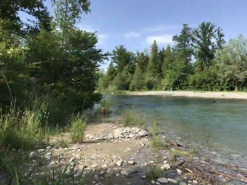 Beitar Jerusalem F.C. visual data 4