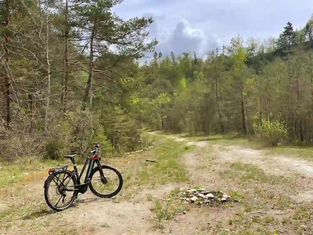 The photo shows a peaceful moment in the wooded area near the Schiffenen dam in Laupen. A single bicycle leans against a path that winds its way through light woodland. The scene is filled with the freshness of early spring, visible in the delicate green leaves that allow the sunlight to shine through. A small, round fireplace can be seen at the edge of the path.